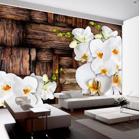 Fototapetas Artgeist Blooming Orchids, 70 cm x 100 cm