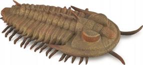 Žaislinė figūrėlė Collecta Redlichia Rex Trilobite 88906, įvairių spalvų