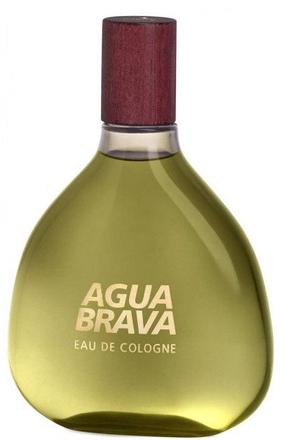 Kölnivesi Antonio Puig Agua Brava, 100 ml