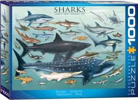 Пазл Eurographics Sharks 6000-0079, 67.6 см x 48.9 см, 1000 шт., многоцветный