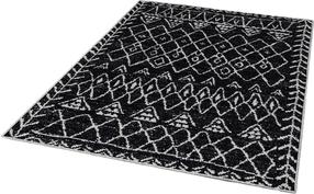 Kilimas Conceptum Hypnose W1069 213HFT1634, įvairių spalvų, 220 cm x 140 cm