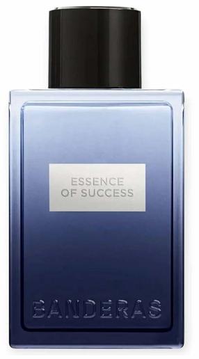 Tualetinis vanduo Antonio Banderas Essence of Success, 100 ml