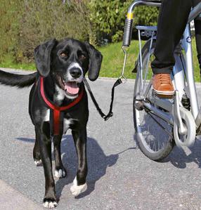 Поводок для собак Trixie Dog Biker, черный цв.