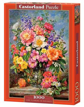 Dėlionė Castorland June Flowers In Radiance 1000 el. C-103904-2, 68 cm x 47 cm, 1000 vnt., įvairių spalvų