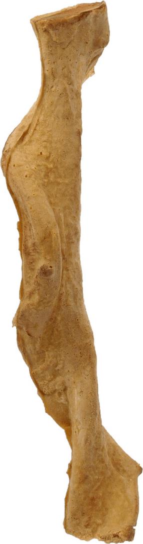 Dekoracija terariumui Repti Planet Artificial Cane