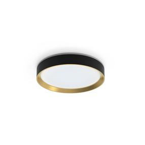 Šviestuvas lubų Philips Hanno 929004115901, LED, 4000 °K, 1 x 24 W, balta sp. / aukso sp.