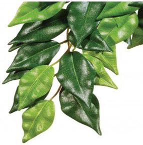 Akvārija dekorācija Exo Terra Ficus 007287, zaļa krās., 41 cm