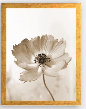 Paveikslas Wallity AC1680333027, 24 cm x 29 cm