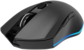 Belaidė žaidimų pelė Gembird MUSGW-6BL-02, 2.4 ghz, juoda