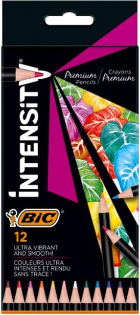 Värvipliiatsid Bic Intensity, 12 tk