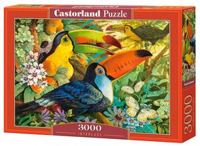 Puzle Castorland Interlude 3000 el. 300433, 92 cm x 68 cm, 3000 gab., daudzkrāsaina