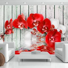 Fototapetas Artgeist Ruby Orchid MNEW010121, 105 cm x 150 cm
