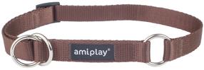 Kaelarihm koertele Amiplay Basic, pruun v., 350 - 500 mm x 20 mm, L