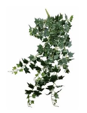 Mākslīgie ziedi, efeja Splendid, zaļa krās., 100 cm