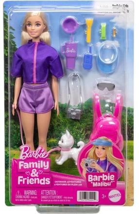 Lėlė su priedais Mattel Barbie Family & Friends Malibu JJV59, 29 cm, įvairių spalvų