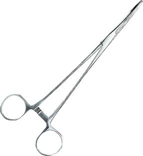 Knaibles Jaxon Curved Forceps 1330024, 10 cm, 10, sudraba krās.