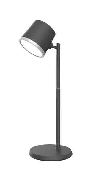 Светильник для рабочего стола Standart Flashlight BL-1005, LED, 6Вт, черный цв./черный цв.