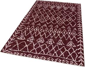 Kilimas Conceptum Hypnose W1070, balta sp./raudona sp., 100 cm x 60 cm