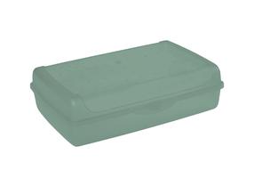 Toidukarp Keeeper Click 1069531500000, 3.7 l, 30 cm x 20 cm, roheline v.