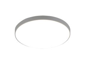 Valgusti plafoon Reality R67851187, LED x 18 W, hall v. / valge v.