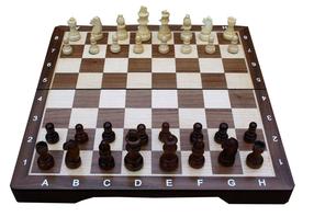 Šahs Enigma Medium Chess Set TWE197911, EN