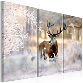 Reprodukcija Artgeist Deer in the Cold I MDF02, 60 cm x 40 cm