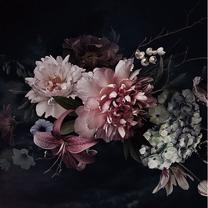 Foto paveikslas, 80 cm x 80 cm