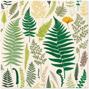 Popierinės servetėlės Paw Decor Collection Botanical Memories, 33 cm x 33 cm, žalia sp., 20 vnt.
