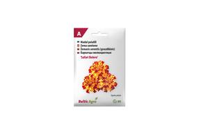 Семена Baltic Agro бархатцы Safari Bolero, 6 г