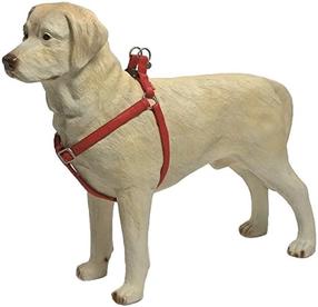 Petnešos šunims Beeztees Harness, raudona sp., 500 - 750 mm x 20 mm, 50 - 75 x 2 cm