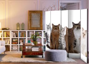Ширма Artgeist Sweet Cats Ii Paravent1081J, многоцветный, 225 см x 172 см