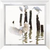 Foto paveikslas Heron 1, 63 cm x 63 cm
