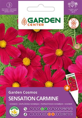 Sėklos Garden Center kosmėja SENSATION CARMINE, 1 g
