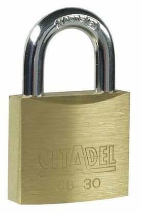 Pakabinama spyna Abus Citadel, aukso sp., 30 mm