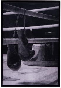 Paveikslas Amadeus Boxe, 60 cm x 90 cm