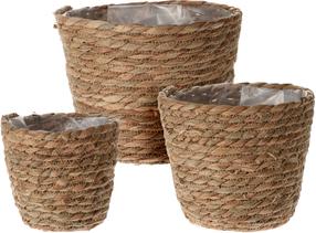 Lillepottide komplekt, merihein, 16.5 cm x 16.5 cm, pruun v., 3 tk