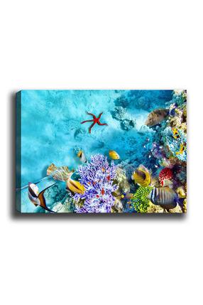 Reprodukcija Wallity 164, 70 cm x 50 cm
