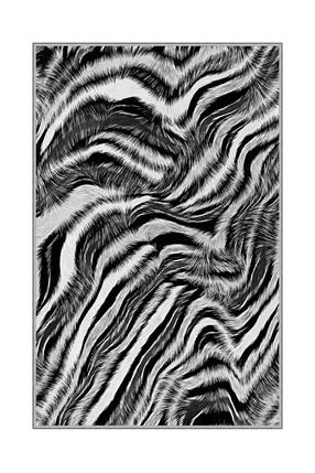 Kilimas Conceptum Hypnose HMNT163, balta sp./juoda sp., 120 cm x 80 cm