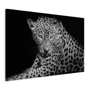 Reprodukcija Artgeist Leopard Portrait, g-b-0071-b-a, 120 cm x 80 cm