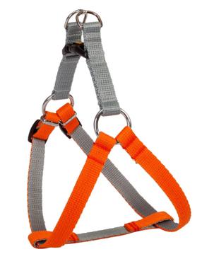 Petnešos šunims Dingo Energy Silver, oranžinė sp., 610 - 900 mm x 25 mm, 85