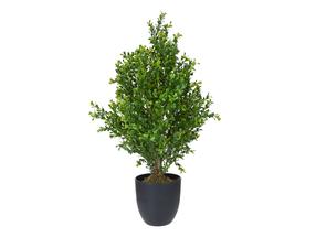 Mākslīgais augs podiņā Domoletti, zaļa krās., 60 cm