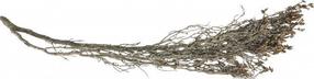 Akvārija dekorācija Terra Natura Underwater Root, brūna krās., 20 cm