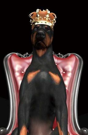 Paveikslas Dog in Crown, 80 cm x 120 cm