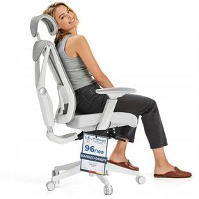 Рабочее кресло Desktronic SitPro 3D, 74 x 74 x 109.5 - 133 см, серый цв.