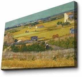 Reprodukcija Wallity 4570VANGOGH044, 70 cm x 45 cm