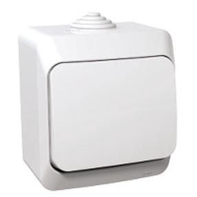 Mygtukinis jungiklis Schneider Electric Cedar Plus, 1 kl., balta sp.