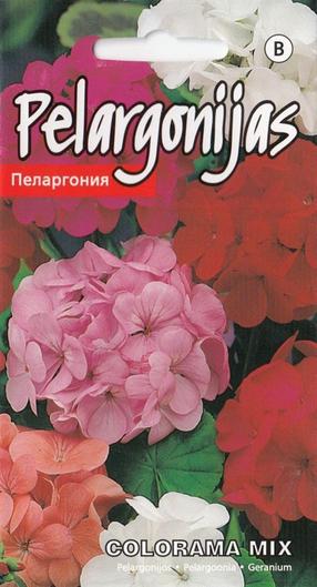 Sēklas Kurzemes sēklas pelargonijas Colorama Mix, 3 g