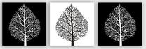 Paveikslas Wallity 3P5781, 30 cm x 30 cm