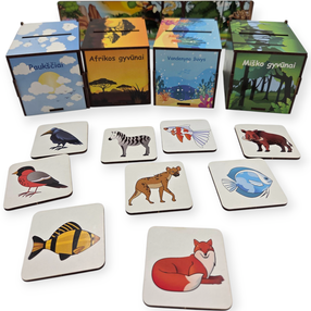 Šķirošanas spēle PuzzleOK Montessori Magical Nature, LT, daudzkrāsaina, 40 gab.