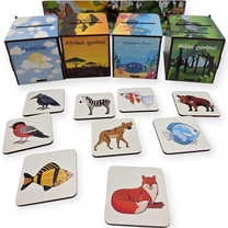Rūšiavimo žaidimas PuzzleOK Montessori Magical Nature, LT, įvairių spalvų, 40 vnt.